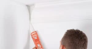 Лепилото за снадки