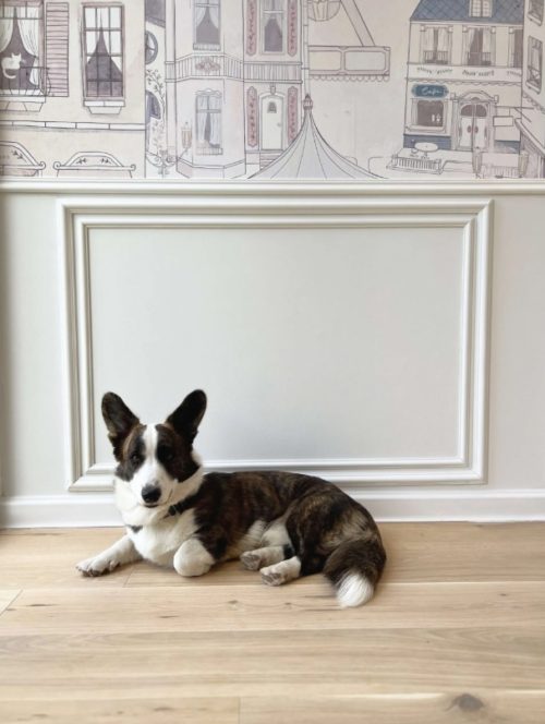 Профил за стена MD002 интериор 2