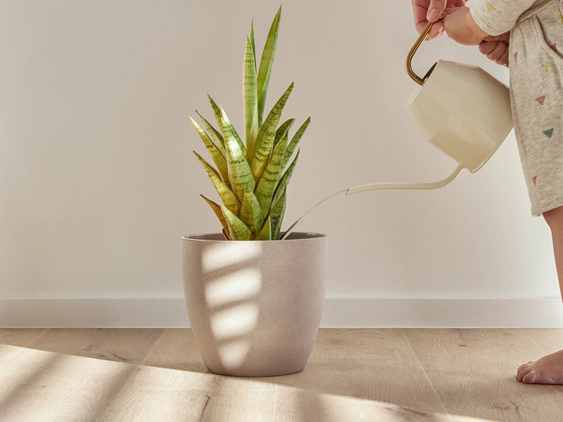 Coretec vinilova nastilka natural forest 1200x182x8mm 2 Coretec винилова настилка Naturale Forest 1220х182х8 мм